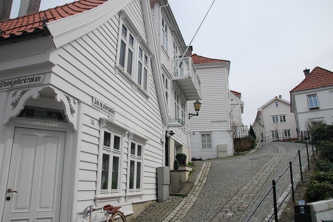 PRIVATE TOUR: Bergen city sightseeing, 5 hours - Starting at Mount Fløyen for the best first look