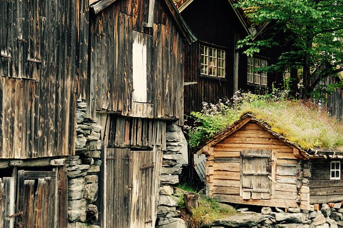 Private tour from Ålesund to Geiranger up to 15 people - Key points at a glance