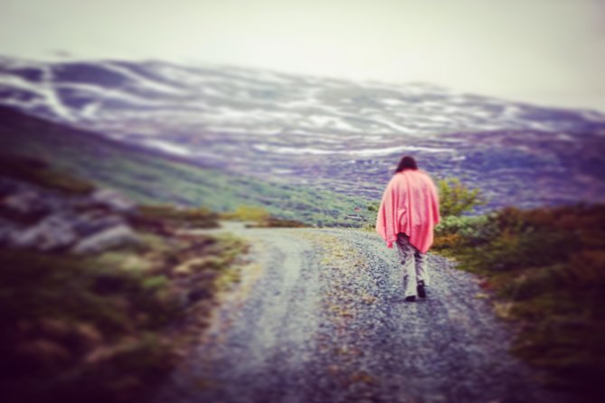 Private tour Geiranger and Glaciers 1 to 15 people - Flydalsjuvet, a short stop with a famous angle