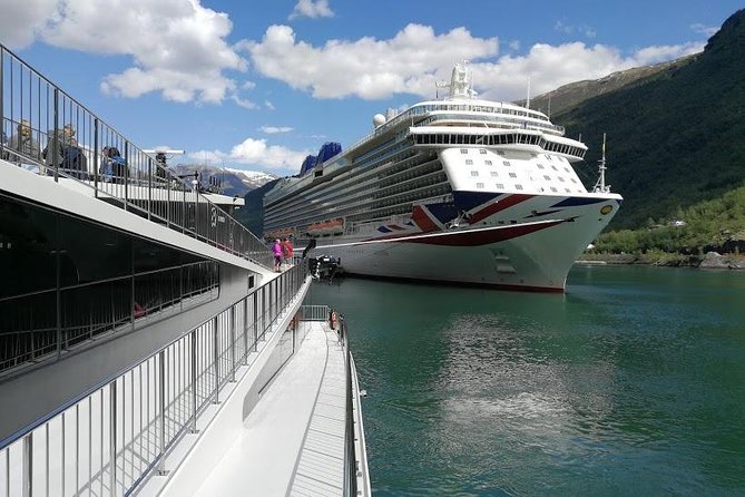 Private tour - Viking Village, Nærøyfjord Cruise and Flåm Railway - Njardarheimr presents a different side of Norway