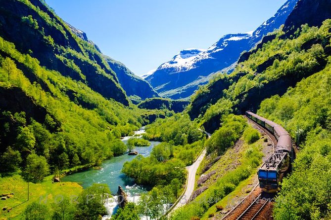 Private tour - Viking Village, Nærøyfjord Cruise and Flåm Railway - The Nærøyfjord cruise is the visual centerpiece