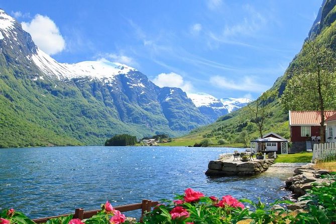 Private tour - Viking Village, Nærøyfjord Cruise and Flåm Railway - Myrdal to Voss adds a high-country train ride