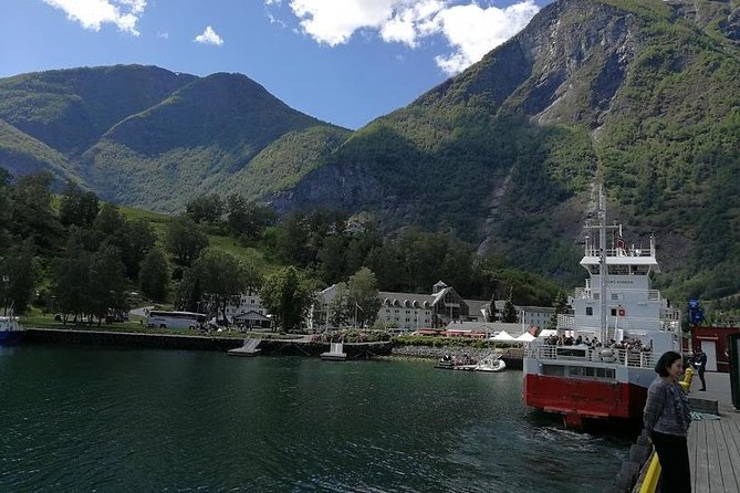 Private tour - Viking Village, Nærøyfjord Cruise and Flåm Railway - What the private format adds