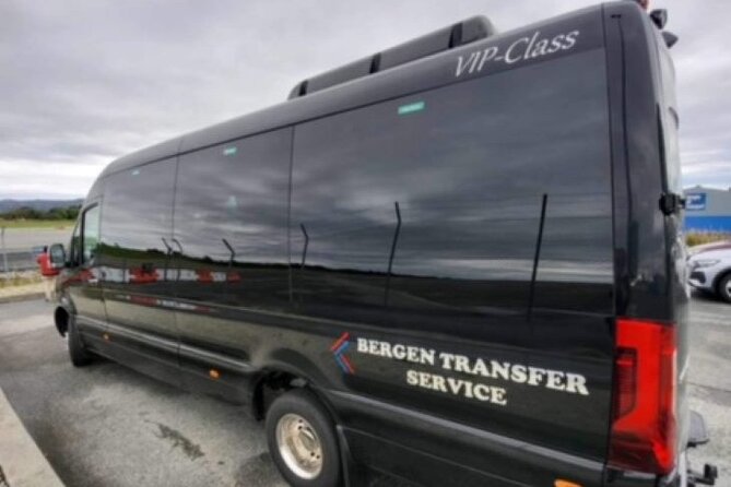 Private transfer From Bergen Airport - Hotels/Port 1-14 pax. - Electric cars and group size
