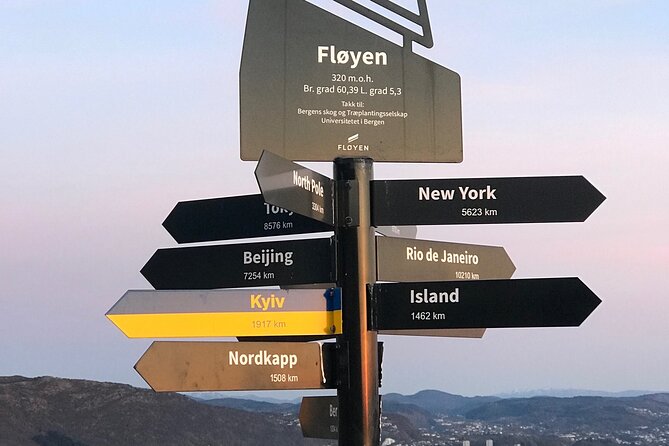 Private Walking Tour- Bergen Classics - Weather, Timing, and Practical Details