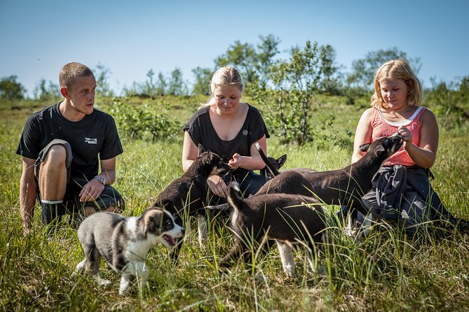 Puppy Training Experience at a Husky Farm in Tromso - The guides and the care of the dogs