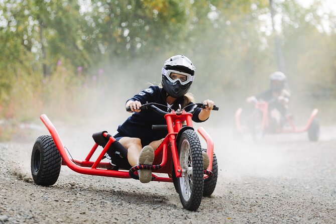 Racing Mountain Cart in Dagali near Geilo, Norway - Who will enjoy Dagali mountain carts most