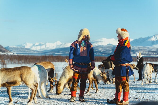 Reindeer Feeding and Sami Culture Afternoon Departure - Inside the lavvu with Sámi guides