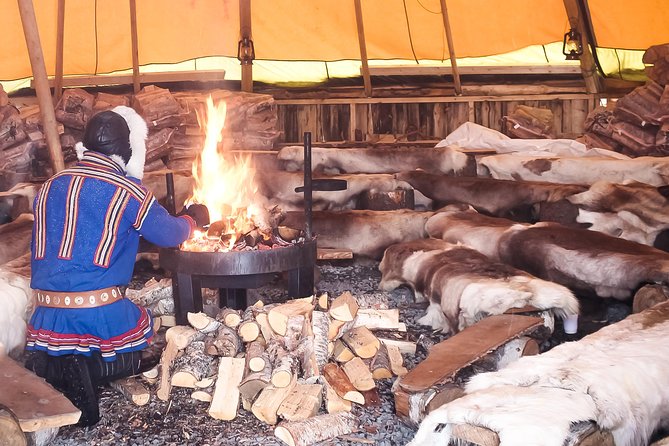 Reindeer Feeding and Sami Culture Including Lunch from Tromso - Bidos, cake, and coffee inside the lavvu