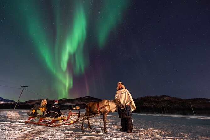 Reindeer Feeding and Sledding, Sami Storytelling Night Tour - Inside the lavvu: food, fire, and Sami storytelling