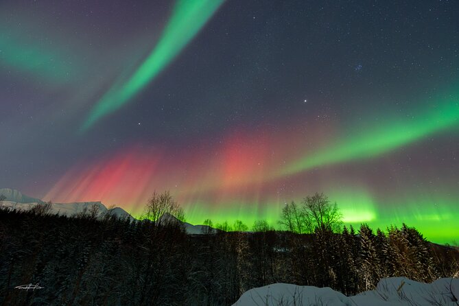 Reindeer Feeding and Sledding, Sami Storytelling Night Tour - Northern Lights chances, with no promises