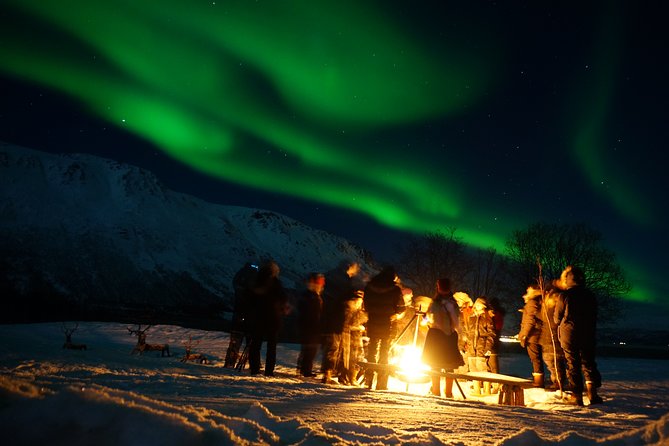 Reindeer feeding & Saami Culture with chance for Northern Lights - What this Tromsø Sámi evening is really about