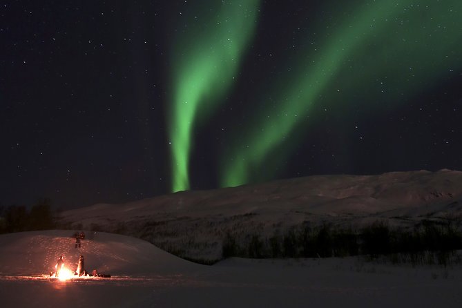 Reindeer feeding & Saami Culture with chance for Northern Lights - Inside the lavvu for biddos and soup