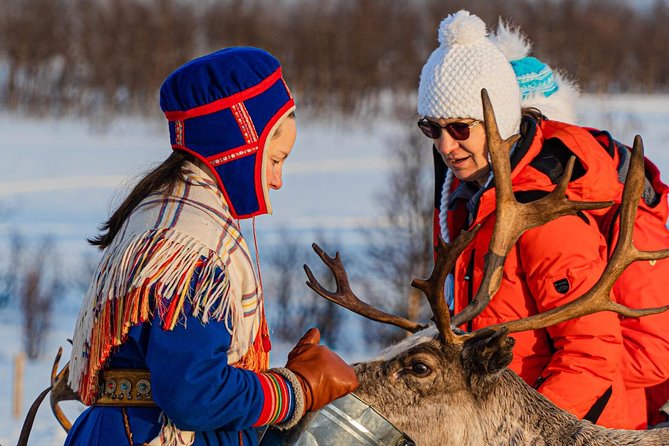 Reindeer feeding & Saami Culture - Inside the Sámi lavvu