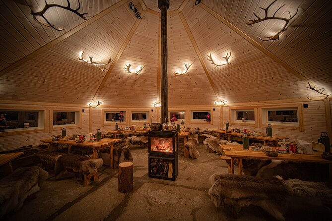 Reindeer Sledding and Feeding with Chance of Northern Lights Tromso - Price, transport, and overall value