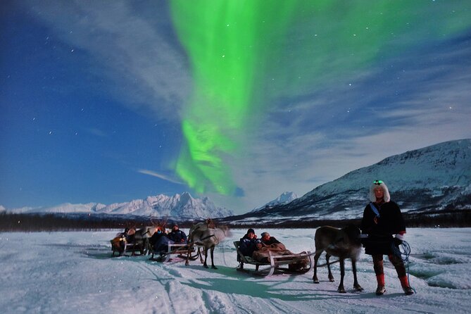 Reindeer Sledding and Feeding with Chance of Northern Lights Tromso - The sleigh ride and the limits of Arctic weather
