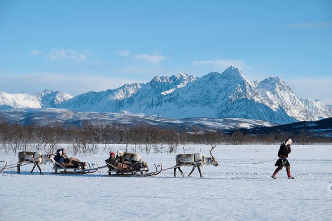 Reindeer Sledding and Feeding with Sami Culture in Tromso. - Sami stories, questions, and cultural context