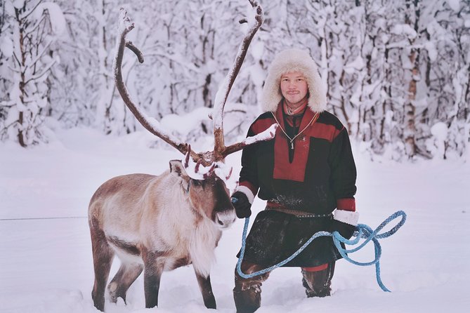 Reindeer Sledding and Feeding with Sami Culture in Tromso. - How authentic and personal does it feel?