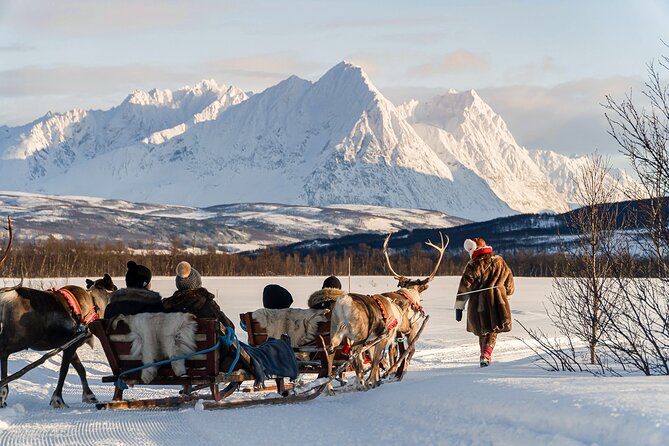 Reindeer Sledding and Feeding with Sami Culture in Tromso. - The coach ride from Fredrik Langes gate 4