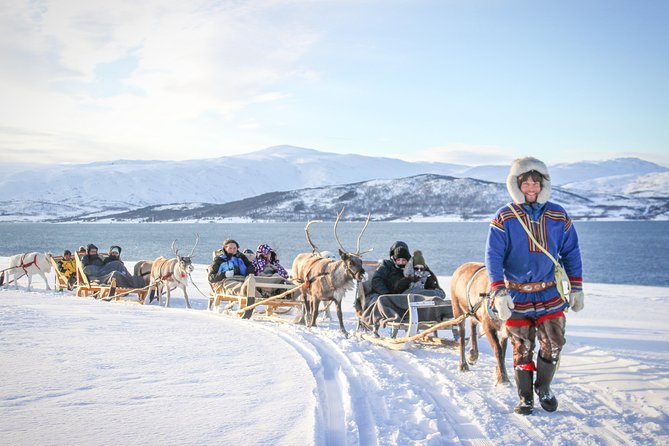 Reindeer Sledding Experience and Sami Culture Tour from Tromso - Reindeer, fire, and Sami culture near Tromsø