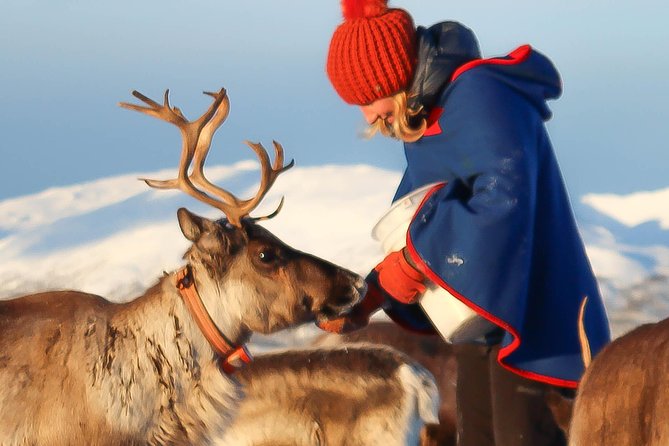 Reindeer Sledding Experience and Sami Culture Tour from Tromso - The 25-minute ride from Tromsø to the camp