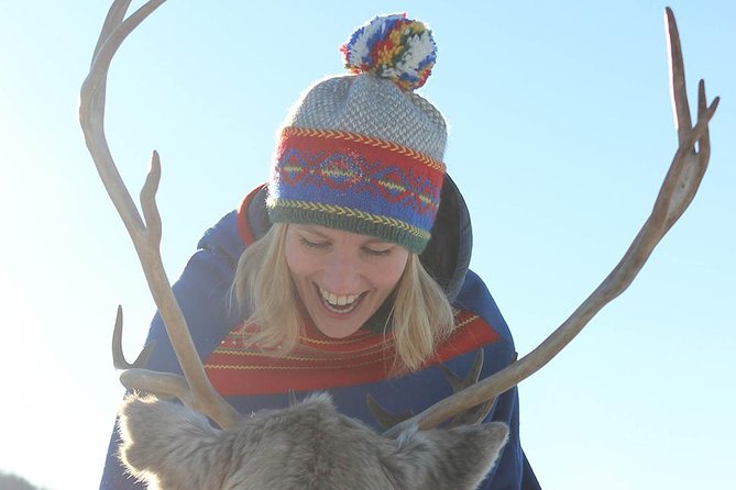 Reindeer Sledding Experience and Sami Culture Tour from Tromso - What the four-hour schedule feels like