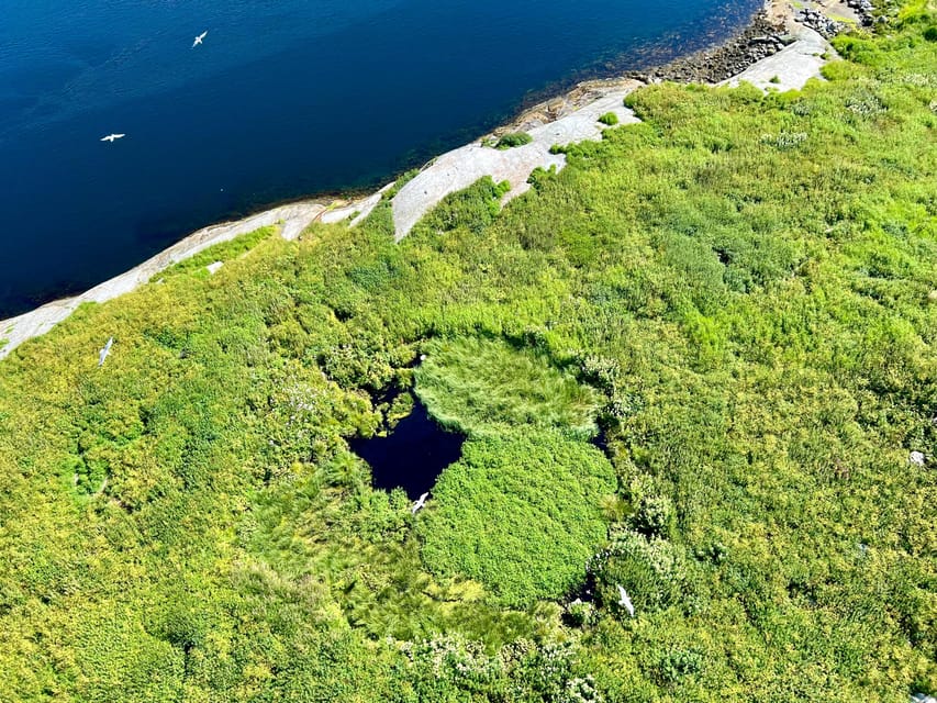 Saltstraumen: Arctic Adventure and Scenic Journey - Pickup in Bodø and the Drive to the Strait