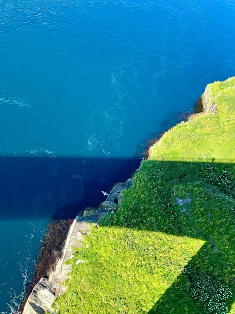 Saltstraumen: Arctic Adventure and Scenic Journey - The Private Format and What You Pay For
