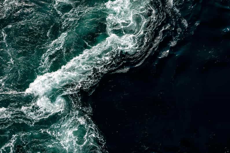 Saltstraumen: Arctic Adventure and Scenic Journey - Who Will Enjoy This Tour Most