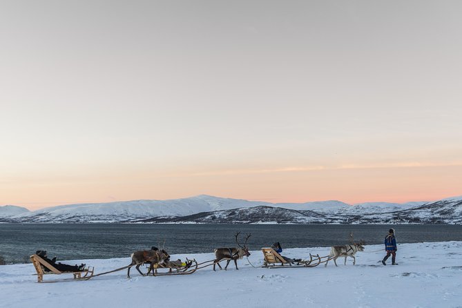 Sami Culture and Short Reindeer Sledding from Tromso - Warming up in the lavuu