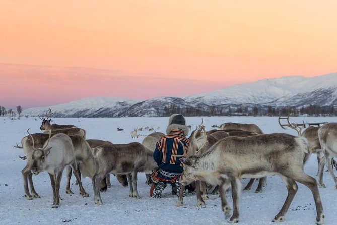 Sami Culture and Short Reindeer Sledding from Tromso - How weather can reshape the experience