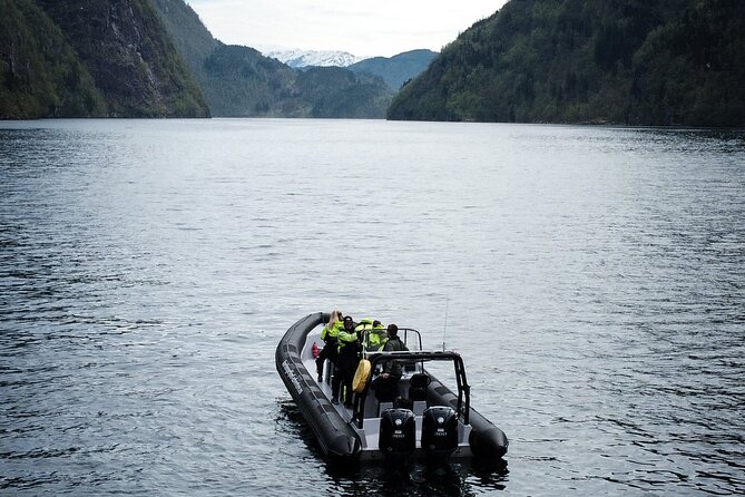 Scenic RIB adventure to Hardangerfjord & Fyksesund from Øystese - Speed, scenery, and a guide who keeps it moving