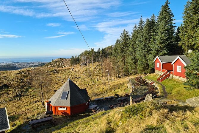 Scenic tour to Steinsfjellet, locals at Kringsjå & Rising Tide - Key points to know before booking