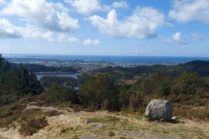 Scenic tour to Steinsfjellet, locals at Kringsjå & Rising Tide - Returning along the path