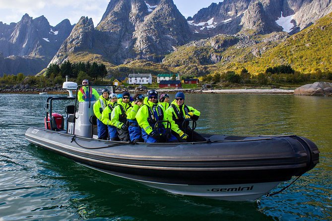 Sea Eagle Safari from Svolvær to Trollfjorden - Key points to know before booking