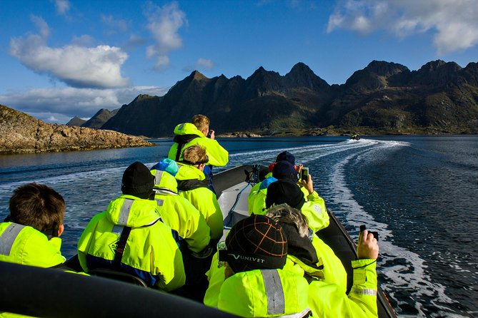 Sea Eagle Safari from Svolvær to Trollfjorden - Why the sea eagles are worth the trip