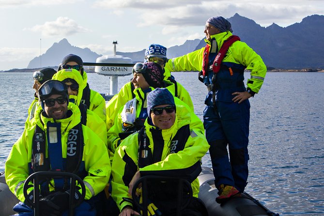 Sea Eagle Safari from Svolvær to Trollfjorden - What the two-hour timing means for your day