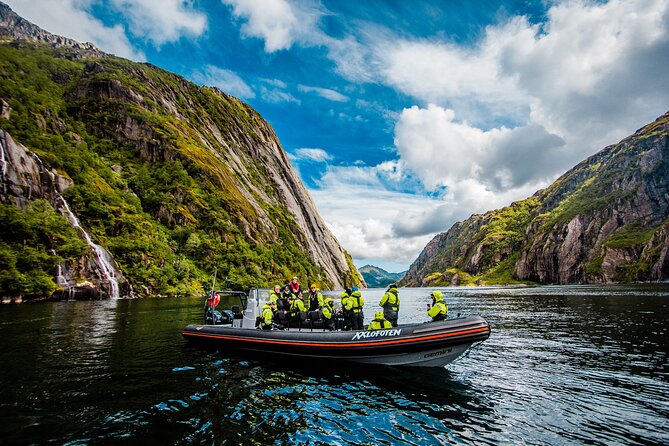 Sea Eagle Safari from Svolvær to Trollfjorden - Who will enjoy this RIB safari most