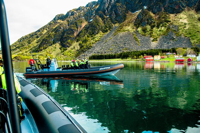 Sea Eagle Safari from Svolvær to Trollfjorden - Small details that make a big difference