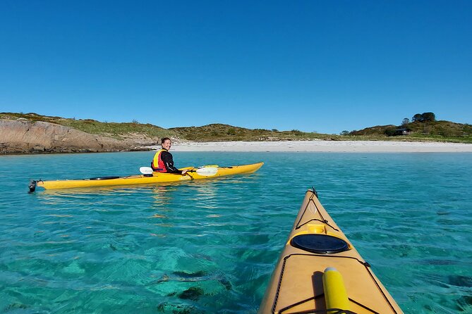 Sea Kayak Guided Tours on Skrova Island - Wildlife is possible, not promised