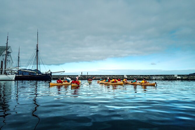 Sea Kayaking In Ålesund - Who should book this Ålesund kayak trip?