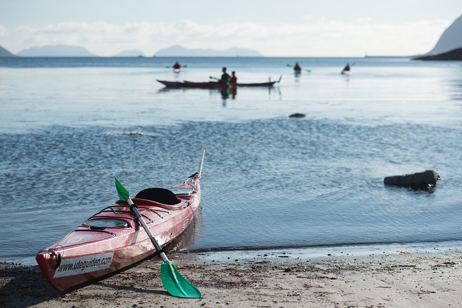 Seakayak And Hike in Ålesund - Lunch makes the six-hour schedule easier