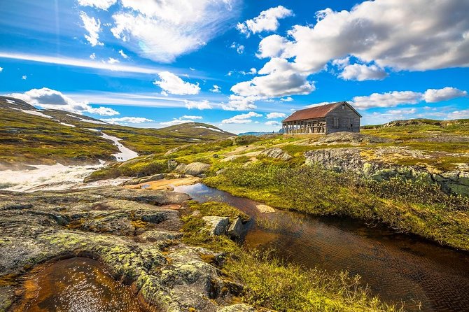 Self-Guided Bergen to Oslo Daytrip With Flamsbana & Fjordcruise - Riding the Flåm Railway toward Myrdal