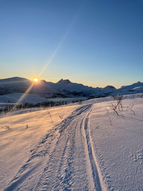 Senja Island: Winter Light Package Deal, 1 Day and 1 Night - Afternoon viewpoints along the National Tourist Road