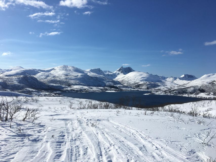 Senja Island: Winter Light Package Deal, 1 Day and 1 Night - Snowshoes, firelight, and the northern lights