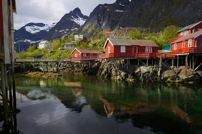Shore Excursion Full day Private Tour in Lofoten - What the $461.92 price really buys you