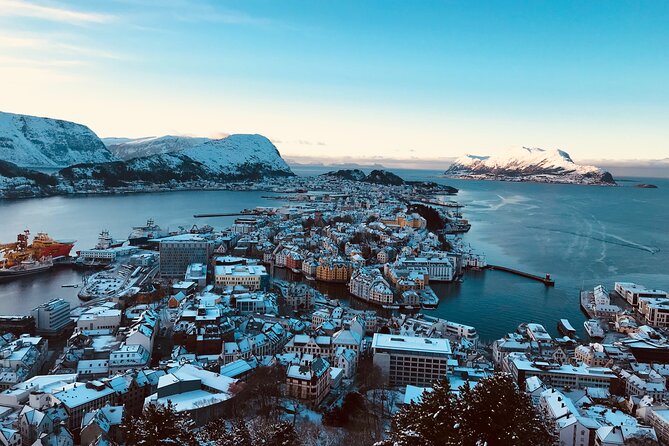 Shore Excursions Ålesund: Highlights Ålesund & Islands - Ålesund’s islands in three useful hours