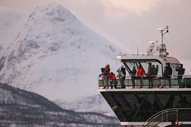 Silent Whale Watching by Hybrid-Electric Boat from Tromsø - What whale sightings are really like