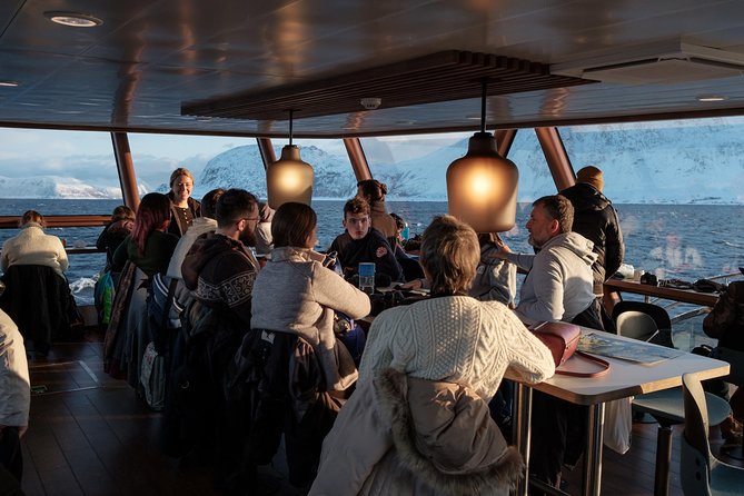 Silent Whale Watching by Hybrid-Electric Boat from Tromsø - Food, drinks, Wi-Fi, and the nine-hour wait