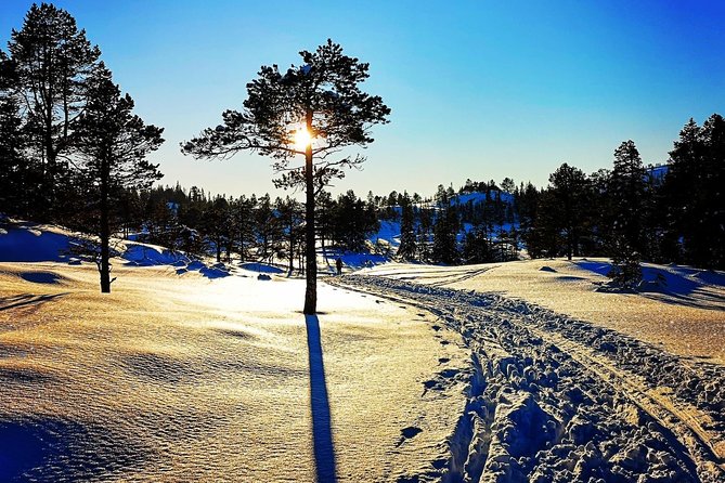 Skiing in winter wonderland - Learning cross-country skiing with Ingrid
